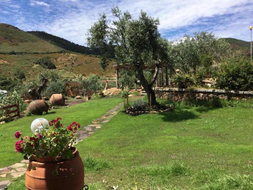Il Giardino Di Daniela Bed & Breakfast San Teodoro  Eksteriør bilde