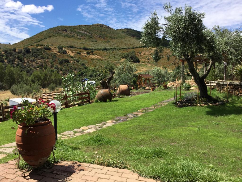 Il Giardino Di Daniela Bed & Breakfast San Teodoro  Eksteriør bilde