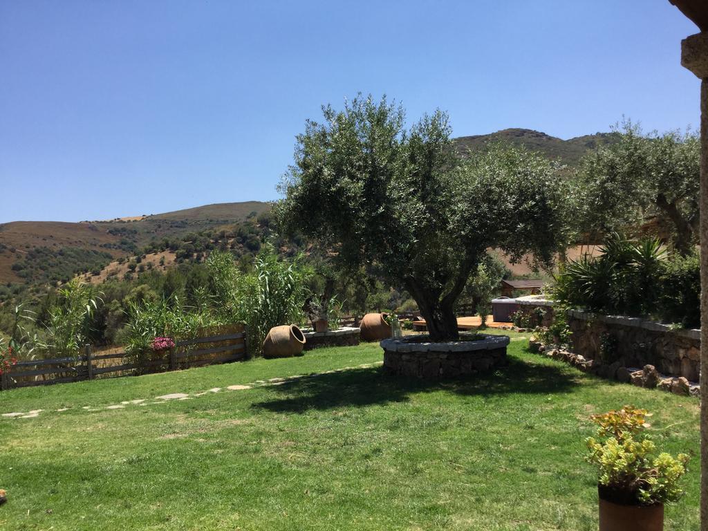 Il Giardino Di Daniela Bed & Breakfast San Teodoro  Eksteriør bilde